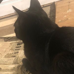 Meet your Posher, Alysa